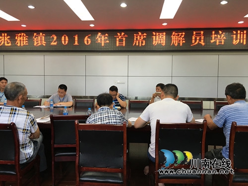 泸县兆雅镇开展首席人民调解员培训(图1)
