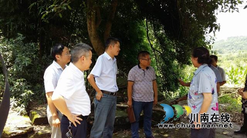 合江开展地质灾害防治措施落实情况暗访工作(图1)