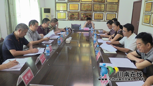 泸县人大到潮河镇调研经济社会和民生工作(图1)