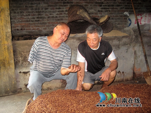 泸州通滩:村支书垫钱帮销 造就致富“酿酒村”(图1) 泸州通滩:村支书垫钱帮销 造就致富“酿酒村”(图1)