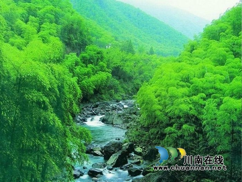 蜀南竹海遍撒“优惠券” 古蔺叙永游客五折游(图4) 蜀南竹海遍撒“优惠券” 古蔺叙永游客五折游(图4)