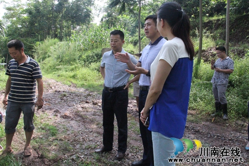 泸县县委常委、常务副县长肖刚到云龙镇视察灾情(图2)