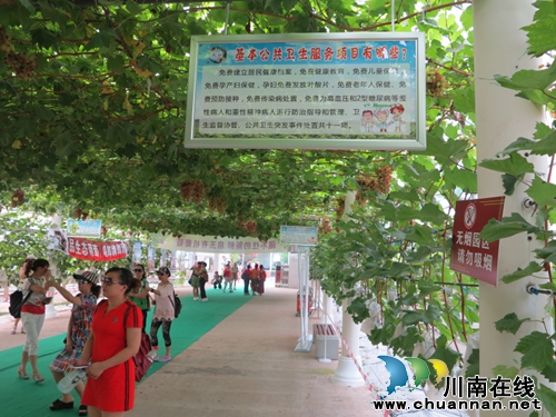 泸州首个人口健康文化示范园亮相启玉葡萄庄园(图3) 泸州首个人口健康文化示范园亮相启玉葡萄庄园(图3)