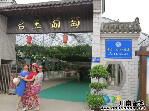 泸州首个人口健康文化示范园亮相启玉葡萄庄园(图1) 泸州首个人口健康文化示范园亮相启玉葡萄庄园(图1)
