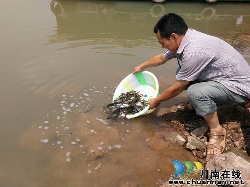 上马镇：开展水域生态修复鱼类增殖放流活动(图1)