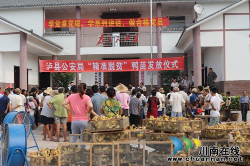 泸县公安局到嘉明镇开展“精准扶贫”鸭苗发放活动(图1)