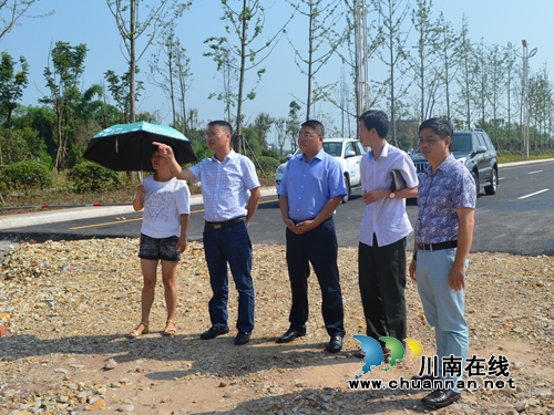 泸县玉蟾街道开展重点项目建设前期工作检查(图1)