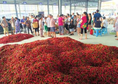 西南水果蔬菜批发大市场在泸州盛大开业(图4)