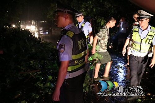 暴风雨折树拦路&nbsp;泸县警方雨夜出击紧急排险(图1)
