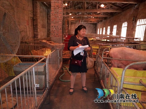 泸县毗卢镇做好夏季动物疫病防治工作(图1) 泸县毗卢镇做好夏季动物疫病防治工作(图1)