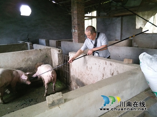 泸县毗卢镇做好夏季动物疫病防治工作(图2) 泸县毗卢镇做好夏季动物疫病防治工作(图2)