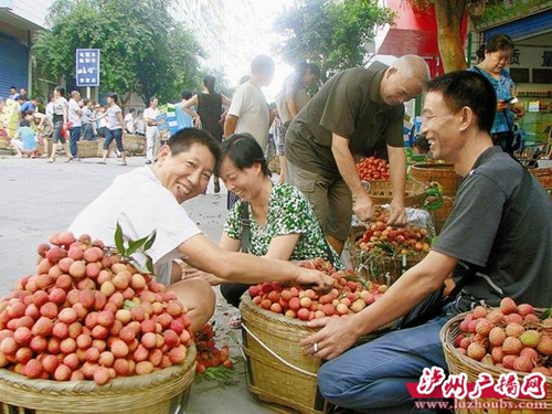 泸州：“奥运名果”产量未减&nbsp;农户家门口数钱(图1)