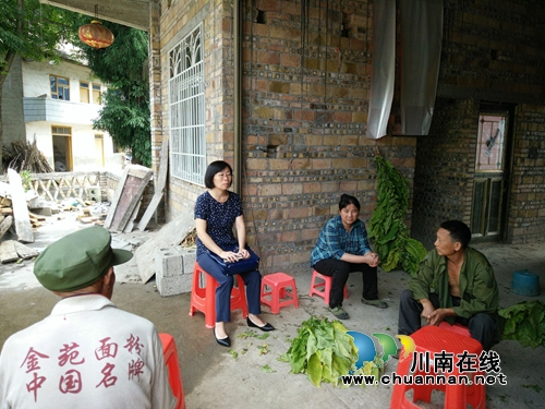 叙永鱼洞村：发展烤烟产业&nbsp;贫困户走上致富路(图1)