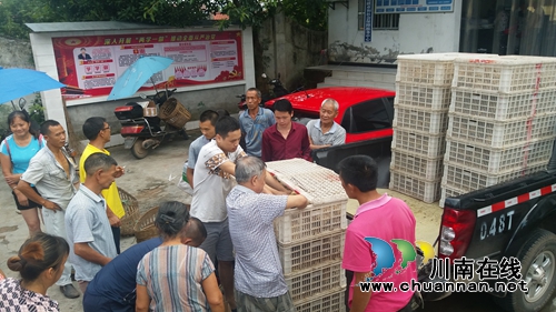宜宾林丰乡向农村贫困残疾人发展生产物资(图1) 宜宾林丰乡向农村贫困残疾人发展生产物资(图1)