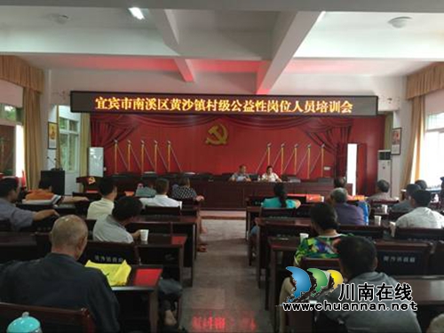宜宾黄沙镇开展村级公益性岗位人员培训会(图1)