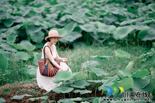 泸州“山色荷园·咀阳荷花”摄影大赛评选揭晓(图11) 泸州“山色荷园·咀阳荷花”摄影大赛评选揭晓(图11)