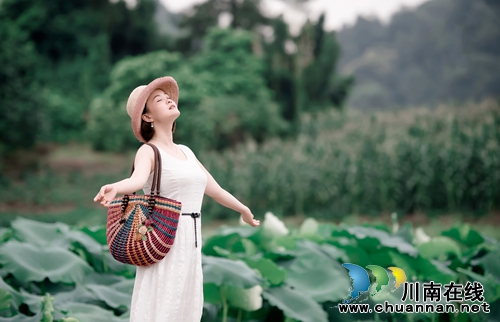 泸州“山色荷园·咀阳荷花”摄影大赛评选揭晓(图9) 泸州“山色荷园·咀阳荷花”摄影大赛评选揭晓(图9)