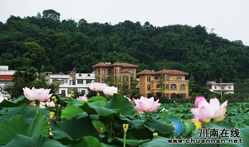 泸州“山色荷园·咀阳荷花”摄影大赛评选揭晓(图13) 泸州“山色荷园·咀阳荷花”摄影大赛评选揭晓(图13)