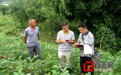 自贡首次采用卫星技术进行“三农”普查(图2) 自贡首次采用卫星技术进行“三农”普查(图2)