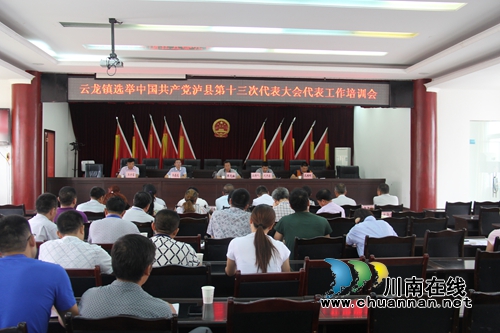 云龙镇召开推选泸县第十三次党代会代表工作培训会(图1)