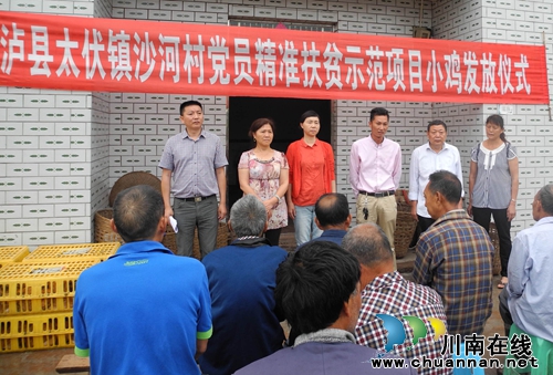 泸县太伏镇：驻村谋发展&nbsp;实干惠民生(图1)