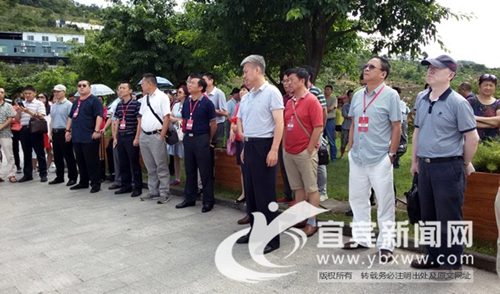 境内外知名投融资机构考察宜宾旅游项目(图1)