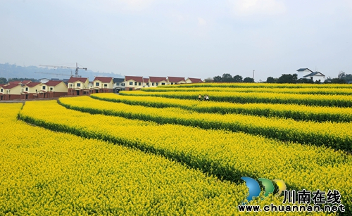 泸州首届“多彩黄舣”摄影大赛征稿了 奖金丰厚(图2) 泸州首届“多彩黄舣”摄影大赛征稿了 奖金丰厚(图2)