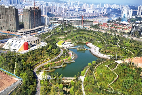 众人纵谈大泸州(图1) 众人纵谈大泸州(图1)