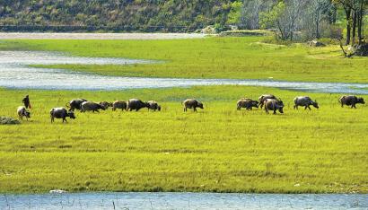 5名扎根在基层的亲历者&nbsp;讲述自己的扶贫故事(图2)