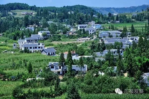 川南一体化：将取消移动通信漫游费(图4)