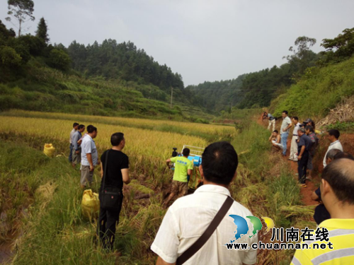 宜宾林丰乡:脱贫助耕服务队助农增收解民忧(图1) 宜宾林丰乡:脱贫助耕服务队助农增收解民忧(图1)