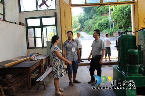 泸州市汛期安全生产综合督查组到大石乡督查工作(图2)