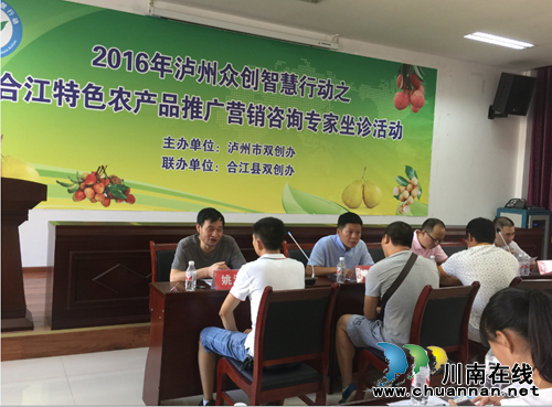 泸州众创智慧行动走进合江&nbsp;专家坐诊农产品推广(图2)