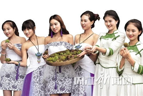 内江:板栗旅游文化节 “歌王”“甜女”扎堆来(图1) 内江:板栗旅游文化节 “歌王”“甜女”扎堆来(图1)