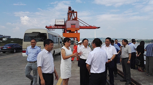 长江经济带“共抓大保护”交叉检查组莅泸(图1)