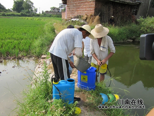 泸县云龙镇积极开展绿色生物防控预防三代螟虫(图1)