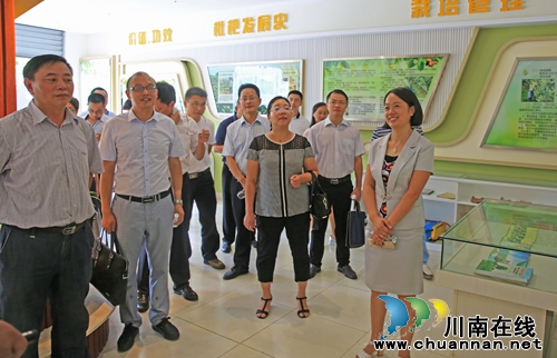 纳溪：200个村级集体资产经营管理公司挂牌成立(图1)