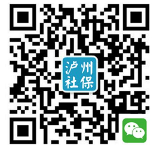 泸县全面启动2016年个体养老保险征缴工作(图1)