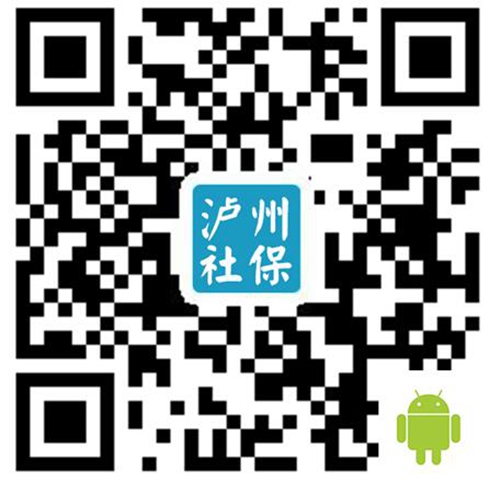 泸县全面启动2016年个体养老保险征缴工作(图2)