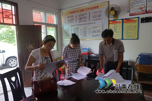 宜宾南溪区人大领导到林丰乡检查依法治理工作(图1)