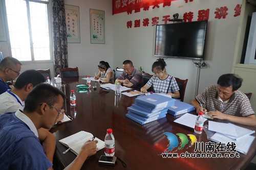 宜宾南溪区人大领导到林丰乡检查依法治理工作(图3)
