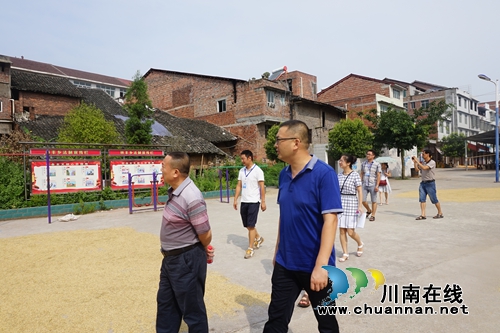 宜宾南溪区人大领导到林丰乡检查依法治理工作(图2)
