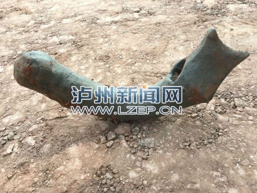 泸州汉代古墓出土疑似古代女性“自慰”用具(图3) 泸州汉代古墓出土疑似古代女性“自慰”用具(图3)