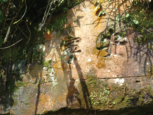 二百年宗祠重建 川南傅氏寻根问祖(图1) 二百年宗祠重建 川南傅氏寻根问祖(图1)