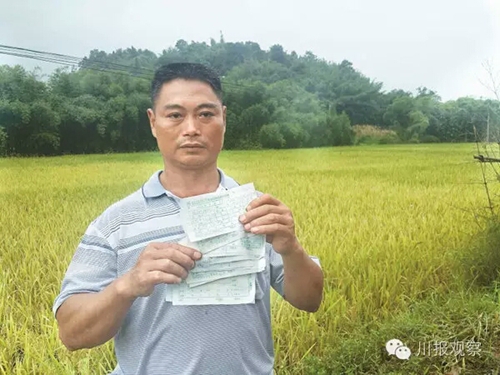 宜宾种粮户粮款遭拖欠追踪:白条兑现了(图1) 宜宾种粮户粮款遭拖欠追踪:白条兑现了(图1)