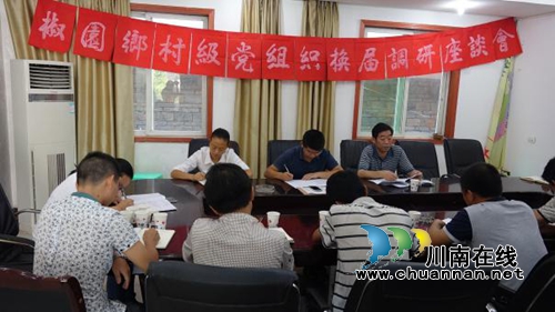 王增林参加古蔺椒园乡村级党组织换届调研座谈会(图1)