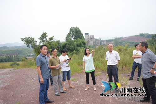 叙永县副县长杨晓康率队深入乡镇现场办公(图3)