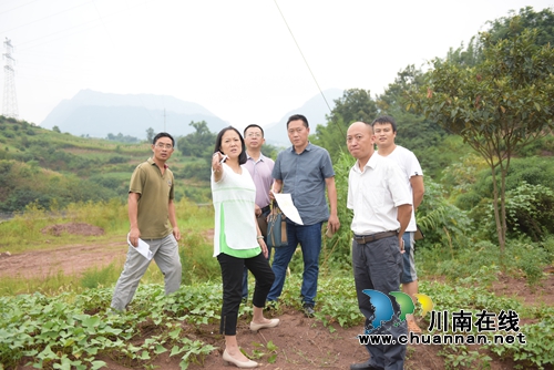 叙永县副县长杨晓康率队深入乡镇现场办公(图2)