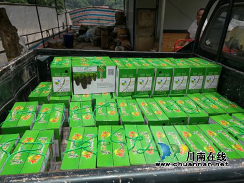 宜宾大观镇：“百里冲”葡萄销售火热(图1)