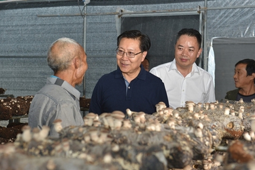 王东明赴南充市仪陇县南部县督导脱贫攻坚工作(图3)